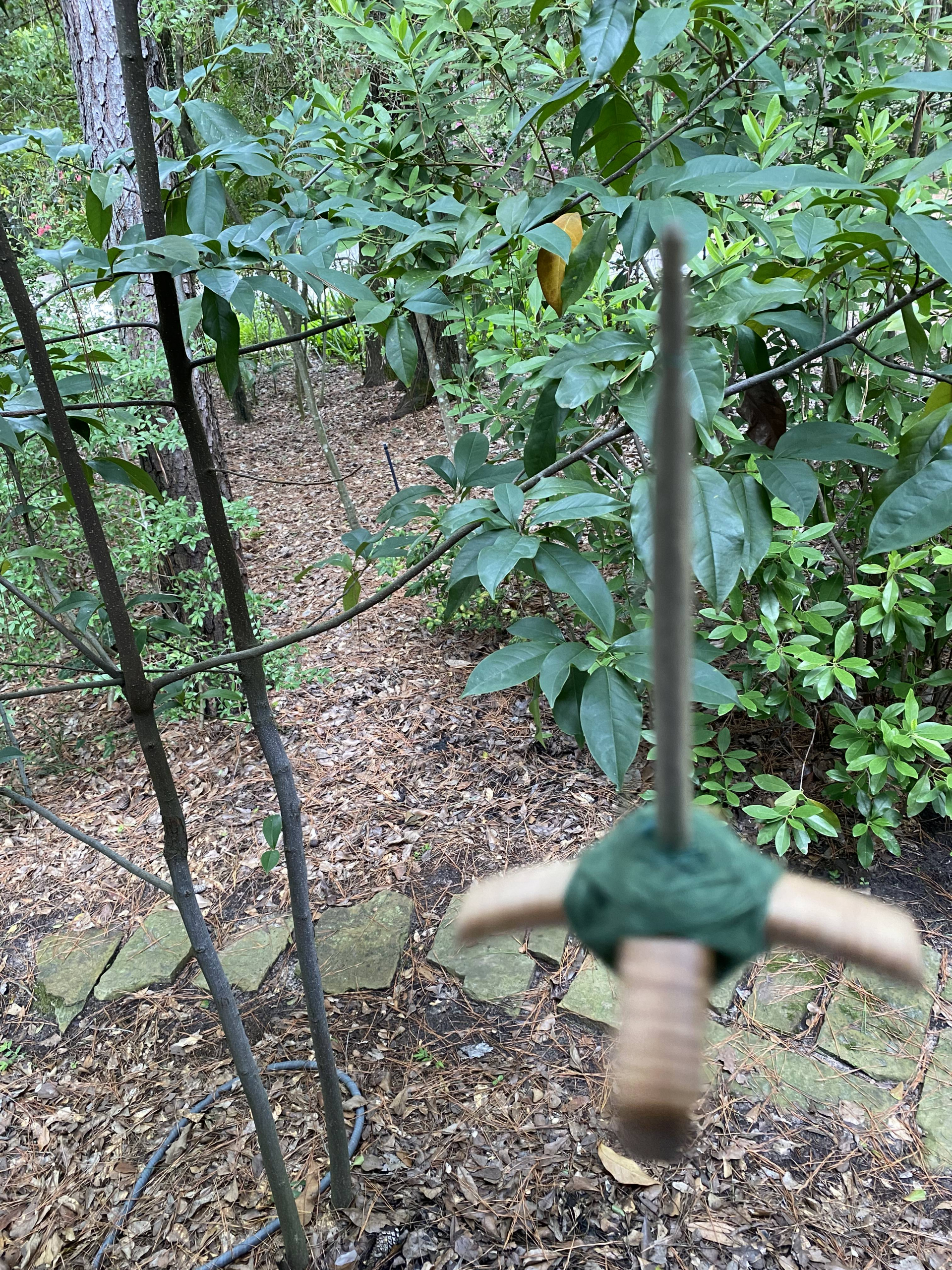 Turkish spindle above stone path