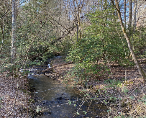 Younce Creek in the winter.