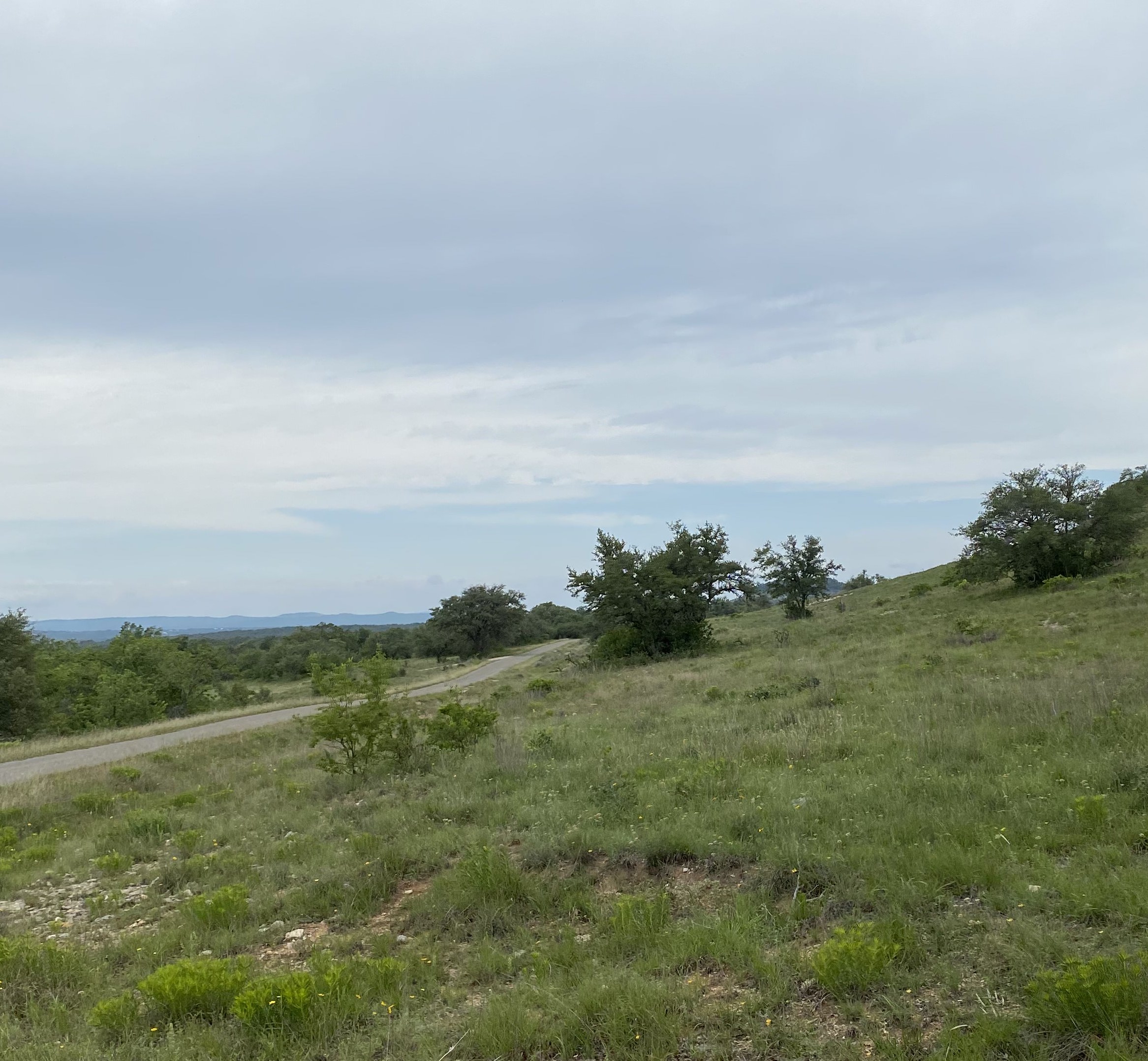 Rugged landscape on Selah Ranch in Johnson City, Texas.