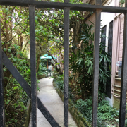 French Quarter garden behind a gate