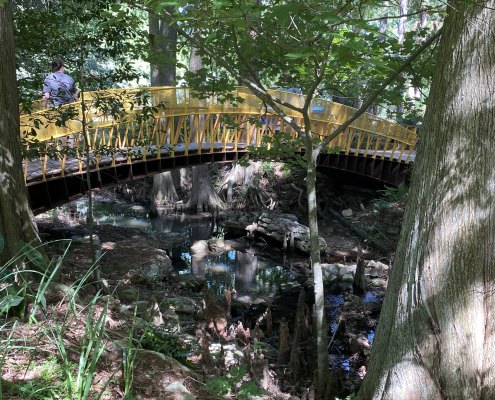Pedestrian bridge at John Fairey Garden