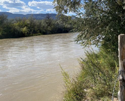 Flowing river and trees