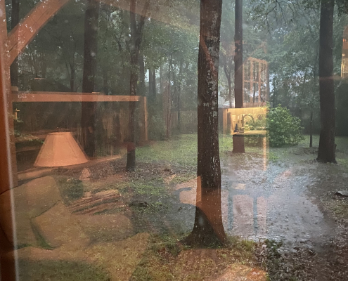 Rainy back yard and reflections in a window