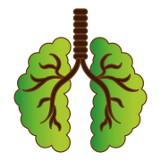 Brown and green drawing of esophagus and lungs