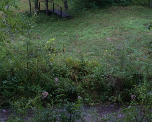 Creek in a meadow with a small foot bridge
